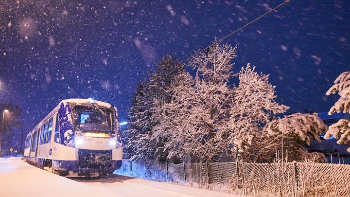 Горячие головы остудит зима? В США неожиданно пришли морозы