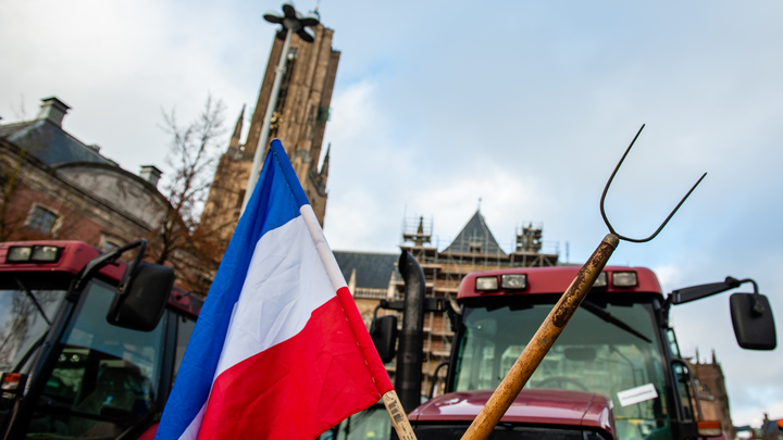 Голландские фермеры просят неравнодушных присылать свои фекалии для борьбы с русской агрессией