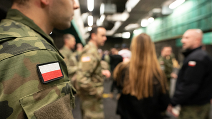 Вблизи Запорожья уничтожено два батальона польских наёмников