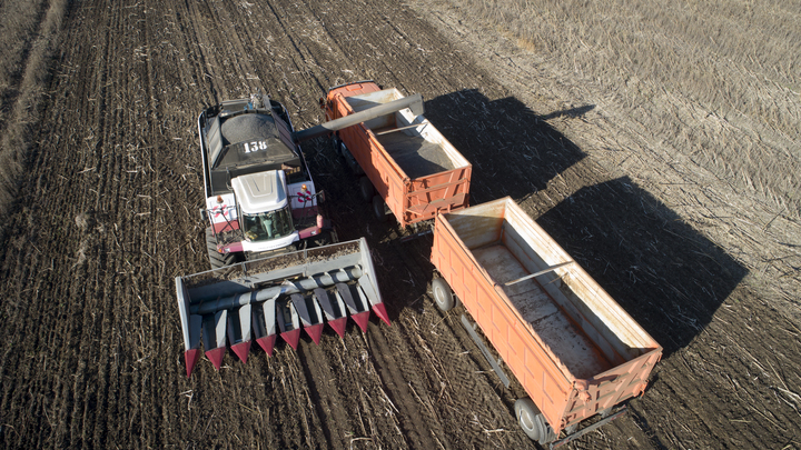 Медоборудование и локомотивы: В России запретят к вывозу более 200 товаров