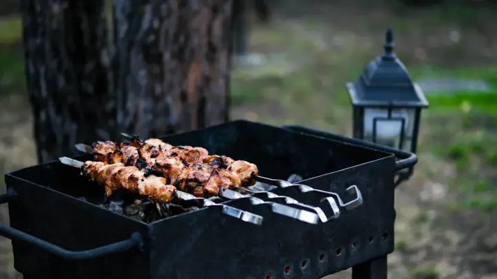 Роскачество предупредило об опасности начинать шашлычный сезон в марте