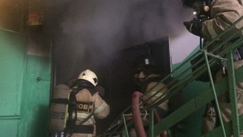 грибные места в чите. Смотреть фото грибные места в чите. Смотреть картинку грибные места в чите. Картинка про грибные места в чите. Фото грибные места в чите