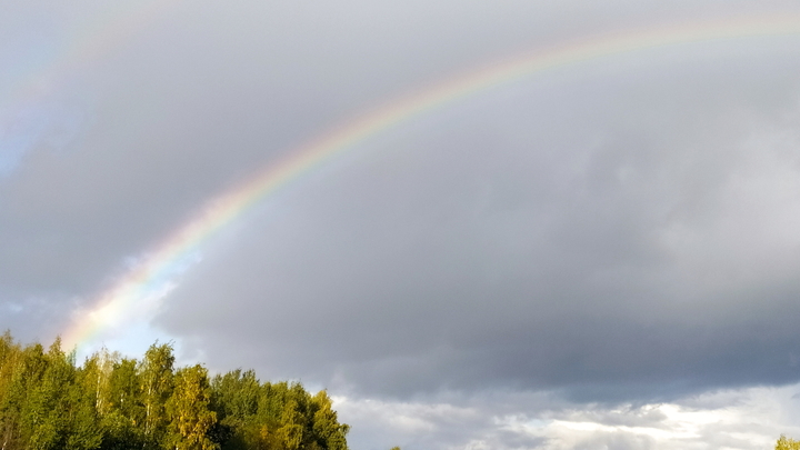 Грозы и ветер: синоптики рассказали, какой будет погода на Кубани в выходные