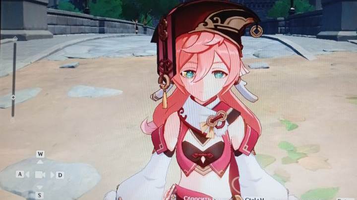 Игра, из-за которой школьница из Химок напала на одноклассницу: что известно о «Genshin Impact»