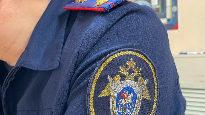 СК: в Якутии возбудили дело из-за избиения детей в школе-интернате для неслышащих