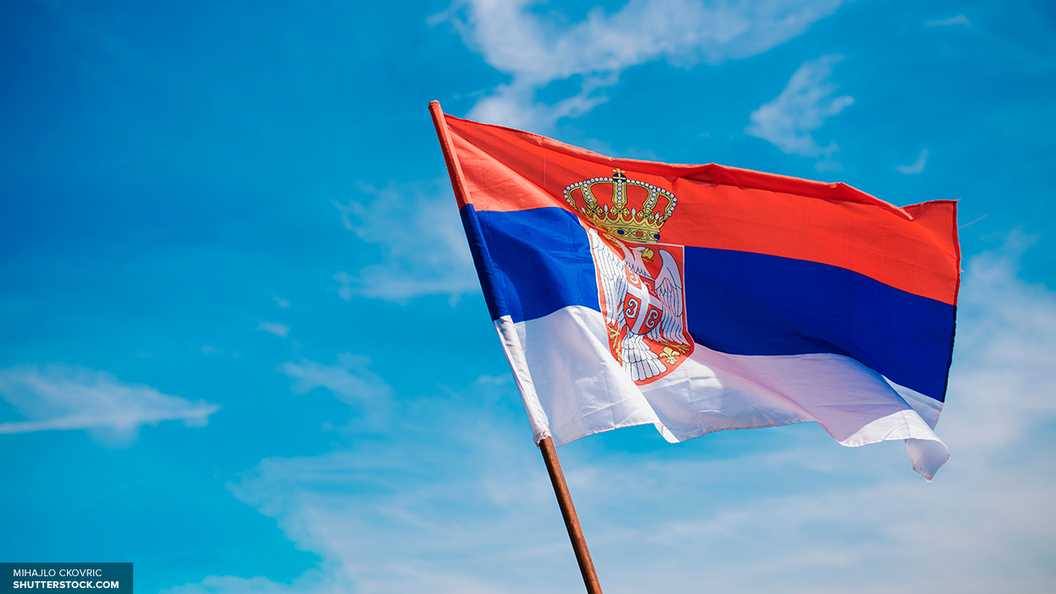 В Госдуме призывают к укреплению отношений России и Сербии В Госдуме призывают к укреплению отношений России и Сербии