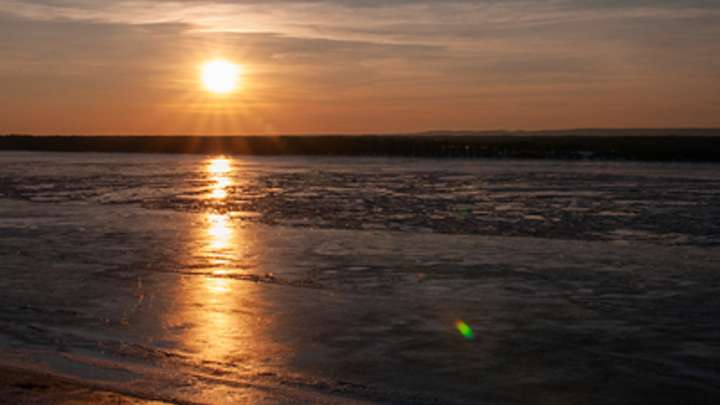 В ближайшие дни жара снова вернётся на Кубань после череды дождей