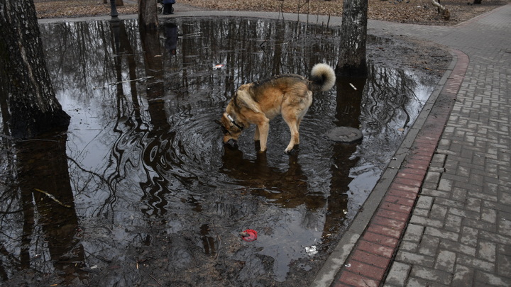 Никаких отклонений нет: Власти Вологодской области отрицают затягивание домов в адскую скважину – СМИ