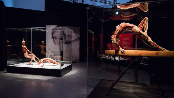 Доктор Смерть едет в Москву, чтобы раскрыть тайны: Тут-то вы, господа, и попались