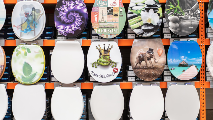 Янукович, подвинься: Сколько стоят золотые унитазы во дворце главного ставропольского гаишника