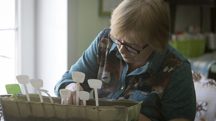 Что сажать в апреле: Эксперты дали совет садоводам - нужно успеть