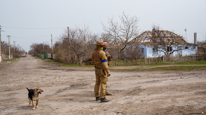 Украинские боевики прячут тела наёмников в лесополосе под Николаевом