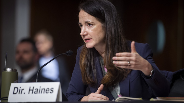 Поражение Украины пошатнёт НАТО. Глава американской разведки бьёт тревогу