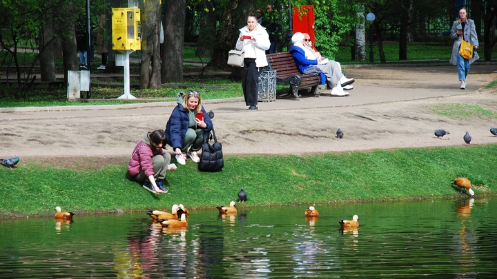 Новая точка притяжения Москвы: Чем удивят жителей и гостей Хамовников