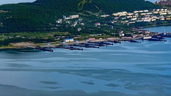 Камчатку накрыл красный прилив? Учёные выдвинули версию о водорослях-убийцах