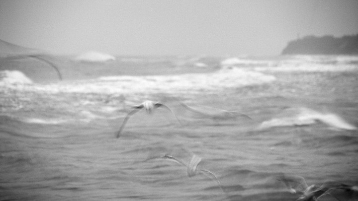 В Новороссийске из-за ураганного ветра включили сирены