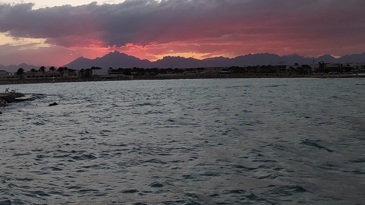 США обратились к Турции с запросом после крушения БПЛА