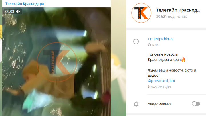 Несчастный случай в парке Галицкого: ребенок упал в пруд с карпами