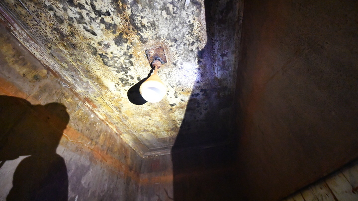 Плесень в квартире: Чем чревато появление грибка на стенах