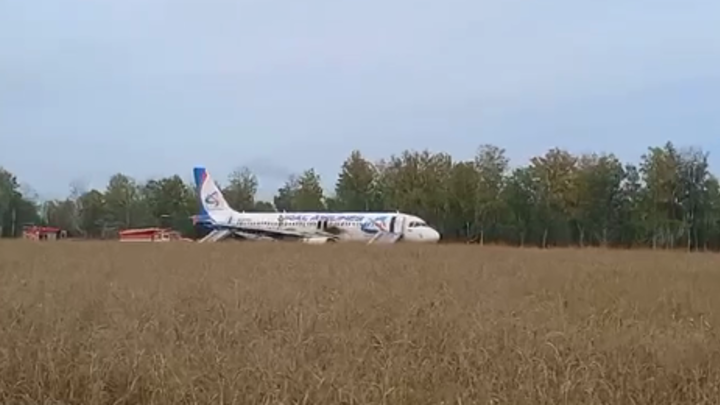 По факту аварийной посадки самолёта в Новосибирской области возбудили уголовное дело