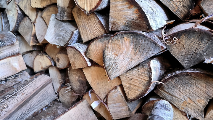 Без шанса согреться: Населению Украины пригрозили уголовной ответственностью за дрова
