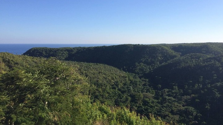 Эксперт призвал граждан провести майские праздники в парках: Там всё есть