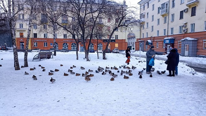 Меньше миллиона стало жителей Забайкалья