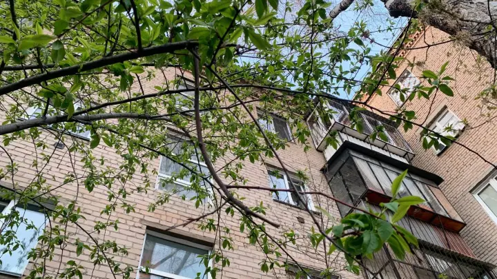 Весна в России может наступить раньше нормы