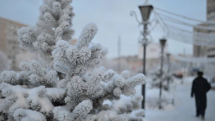 Представители бизнеса рассказали об участии в проекте Зима в Москве
