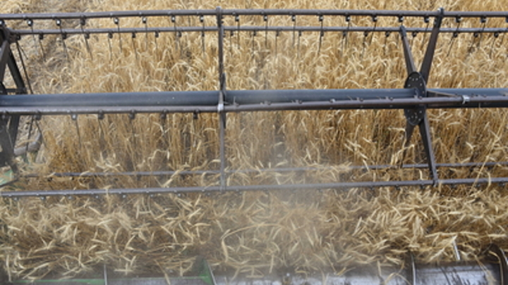 Аграрии Мелитополя приступили к сбору урожая