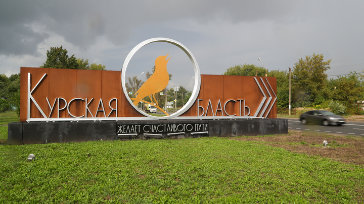 Лиза Алерт сообщила о 222 заявках на поиск пропавших в Курской области за 4 дня