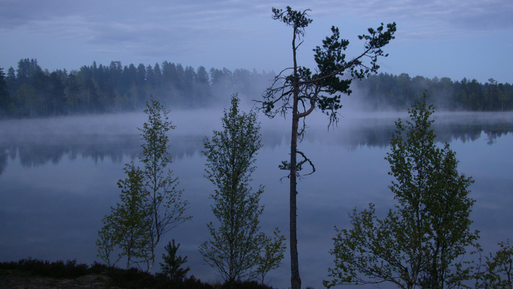 На Кубани в начале недели ожидается дождь с туманом