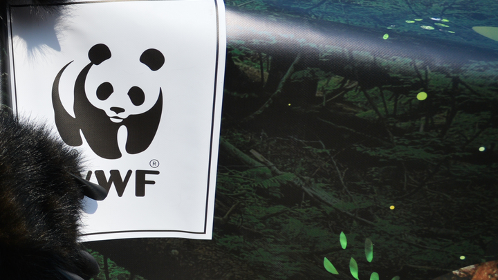 Минюст России включил WWF* в перечень нежелательных организаций