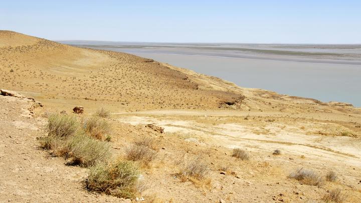 В РАН рассказали о возможном обмелении Амударьи в будущем