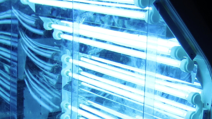 Полная ликвидация коронавируса за 25 секунд: Учёные назвали способ