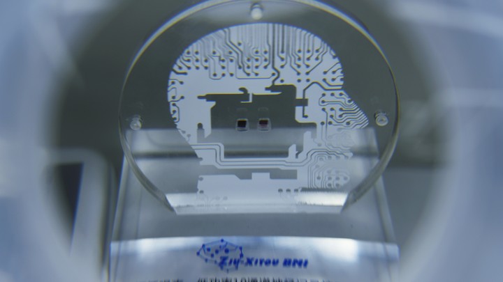 Вопрос в сроках. Эксперт уверен: компьютерные чипы в мозгу человека - это неизбежность