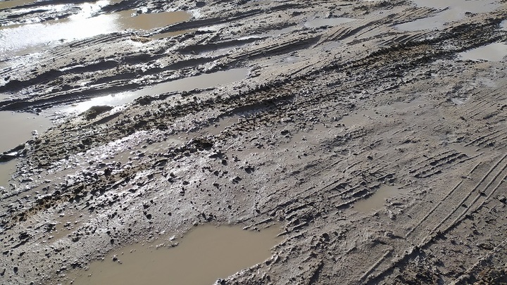 Сражение в грязи: Кадры с передовой СВО, которые не покажут по ТВ