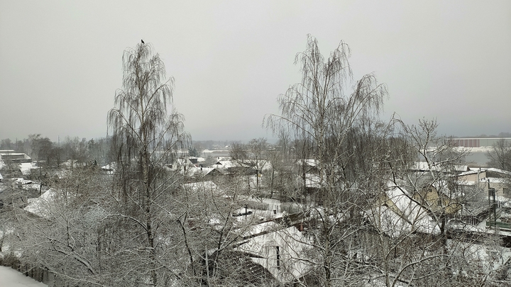 Латыш рассказал правду о жизни без Русского мира