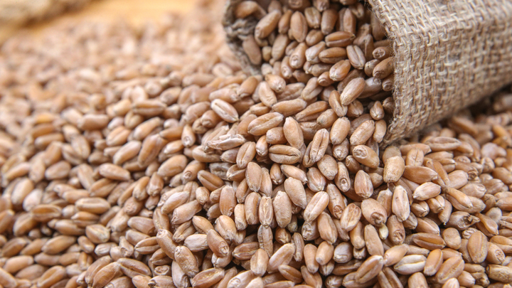 Друг Киева не хочет пускать украинское зерно в Европу