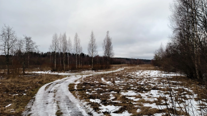 В Краснодаре отправили под суд юриста за махинации с землей на 73 млн рублей