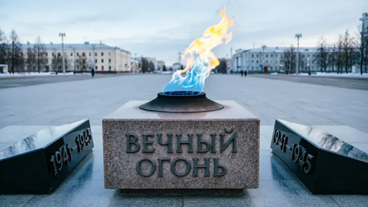 Я сам советский человек!: пьяный мигрант осквернил Вечный огонь в Подмосковье