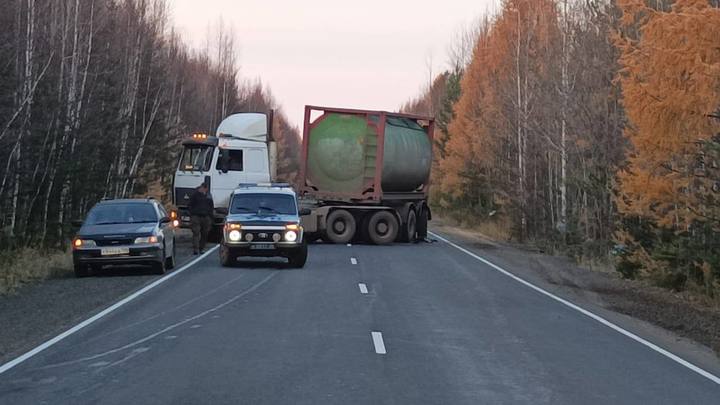 В Иркутской области произошло ДТП с трупом умершего медведя