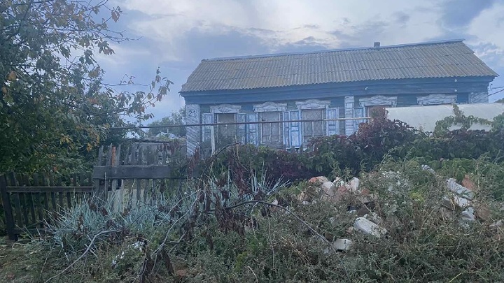 На войне между двумя жителями Самарской области погиб кот: виновник может сесть в тюрьму