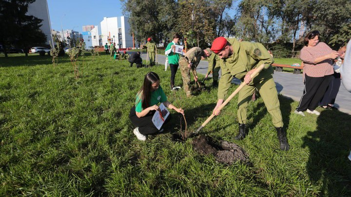 В кемеровском Парке Победы будет цвести именная сирень
