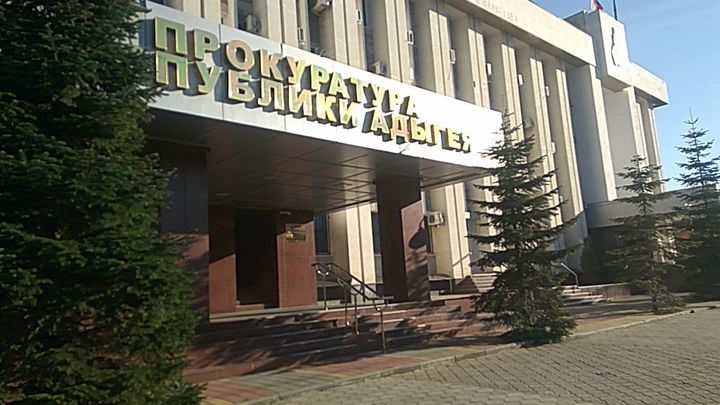 Житель Майкопа получил 1 год исправительных работ за убийство четырёх дворняжек