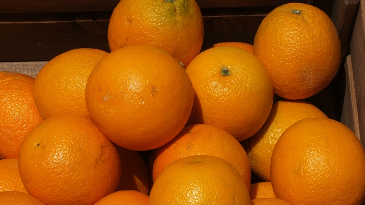 В порту Новороссийска задержали партию заражённых апельсинов из Египта