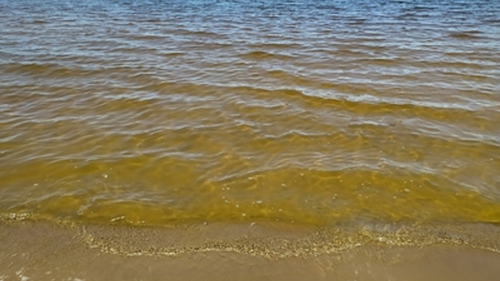 Где можно искупаться в Нижнем Новгороде и какая сейчас температура воды