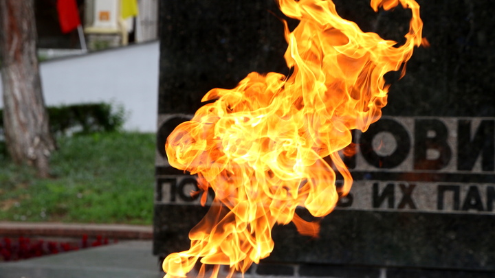 Потушили Вечный огонь: Мигрантов могут выдворить из России за неуважение к памяти народа