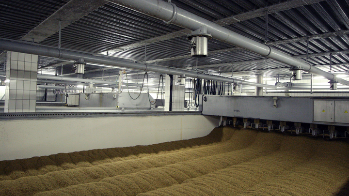 О порядках продажи зерна рассказали в Запорожье