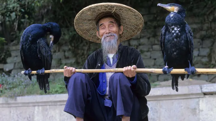 Невероятный феномен: Учёные исследовали долгожителей в Гонконге и сделали удивительные выводы